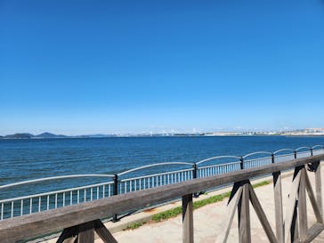 四国水族館に投稿された画像（2024/10/13）