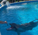 南知多ビーチランド＆南知多おもちゃ王国に投稿された画像（2024/10/13）