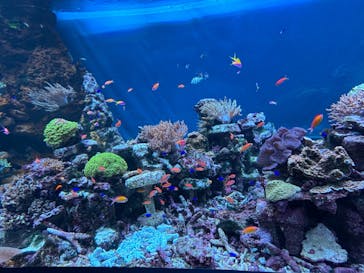 サンシャイン水族館に投稿された画像（2024/10/13）