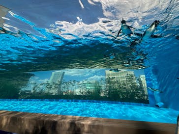 サンシャイン水族館に投稿された画像（2024/10/13）