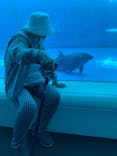 上越市立水族博物館 うみがたりに投稿された画像（2024/10/13）