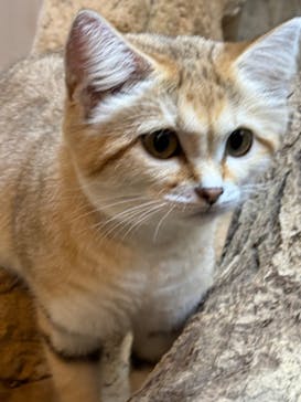 那須どうぶつ王国に投稿された画像（2024/10/13）