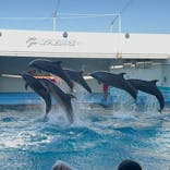 南知多ビーチランド＆南知多おもちゃ王国に投稿された画像（2024/10/13）