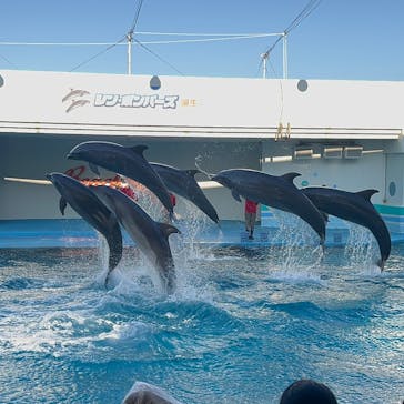 南知多ビーチランド＆南知多おもちゃ王国に投稿された画像（2024/10/13）