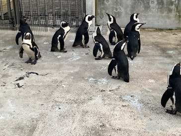 横浜・八景島シーパラダイスに投稿された画像（2024/10/13）