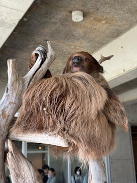 霞ケ浦 どうぶつとみんなのいえに投稿された画像（2024/10/13）