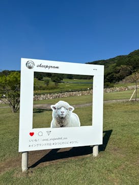 淡路ファームパーク イングランドの丘に投稿された画像（2024/10/13）
