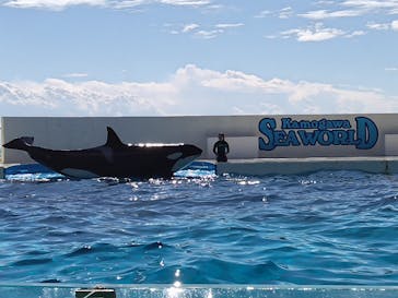 鴨川シーワールドに投稿された画像（2024/10/13）