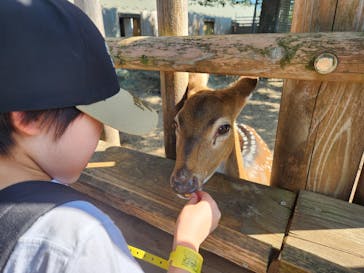 東武動物公園に投稿された画像（2024/10/13）