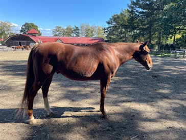 ノーザンホースパークに投稿された画像（2024/10/13）