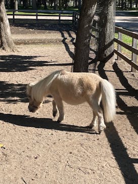 ノーザンホースパークに投稿された画像（2024/10/13）