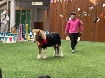 ノーザンホースパークに投稿された画像（2024/10/13）