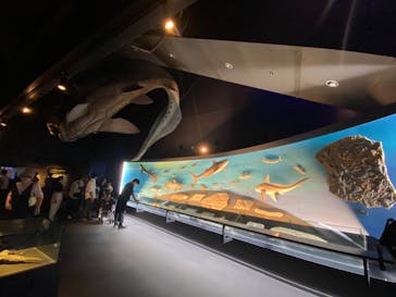 環境水族館アクアマリンふくしまに投稿された画像（2024/10/13）