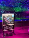 サンシャイン水族館に投稿された画像（2024/10/13）