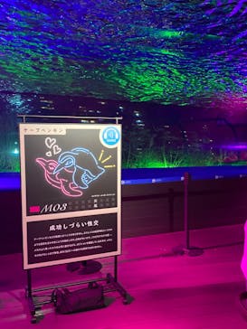 サンシャイン水族館に投稿された画像（2024/10/13）