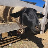 牧歌の里に投稿された画像（2024/10/13）