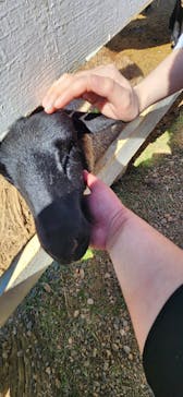 牧歌の里に投稿された画像（2024/10/13）