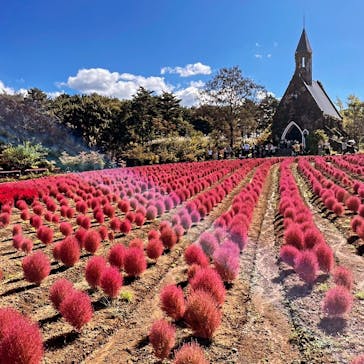 牧歌の里に投稿された画像（2024/10/13）