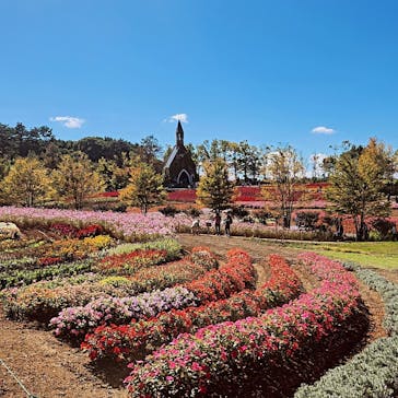 牧歌の里に投稿された画像（2024/10/13）