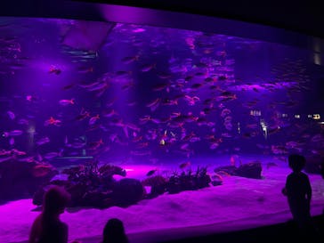 サンシャイン水族館に投稿された画像（2024/10/13）