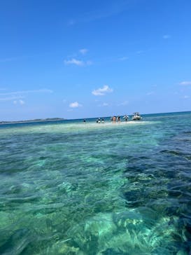 西表島 ADVENTURE PiPi（アドベンチャーピピ）に投稿された画像（2024/10/13）