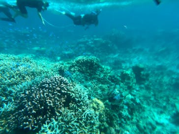 西表島 ADVENTURE PiPi（アドベンチャーピピ）に投稿された画像（2024/10/13）