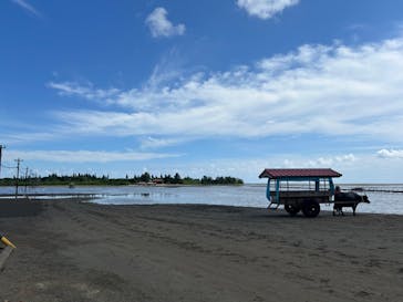 西表島 ADVENTURE PiPi（アドベンチャーピピ）に投稿された画像（2024/10/13）