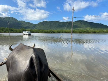 西表島 ADVENTURE PiPi（アドベンチャーピピ）に投稿された画像（2024/10/13）
