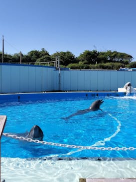 南知多ビーチランド＆南知多おもちゃ王国に投稿された画像（2024/10/13）