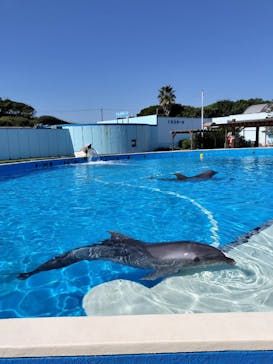 南知多ビーチランド＆南知多おもちゃ王国に投稿された画像（2024/10/13）