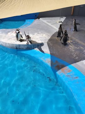 南知多ビーチランド＆南知多おもちゃ王国に投稿された画像（2024/10/13）