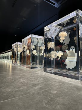 AOAO SAPPOROに投稿された画像（2024/10/13）