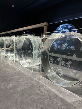 AOAO SAPPOROに投稿された画像（2024/10/13）