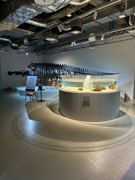 AOAO SAPPOROに投稿された画像（2024/10/13）