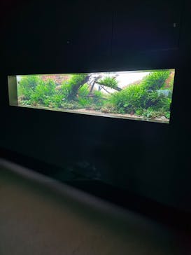 AOAO SAPPOROに投稿された画像（2024/10/13）