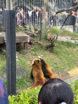 恩賜上野動物園に投稿された画像（2024/10/13）