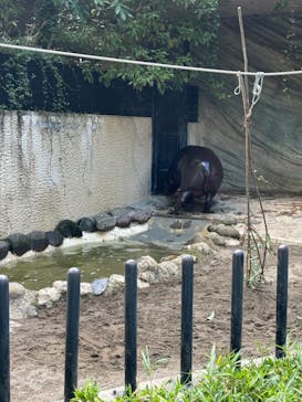 恩賜上野動物園に投稿された画像（2024/10/13）