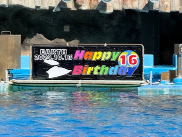 名古屋港水族館に投稿された画像（2024/10/13）