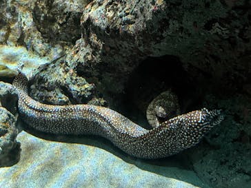 名古屋港水族館に投稿された画像（2024/10/13）