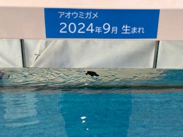 名古屋港水族館に投稿された画像（2024/10/13）