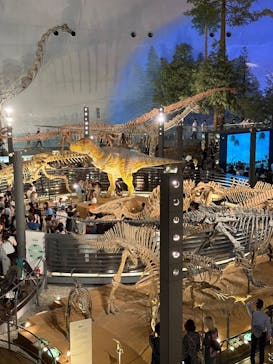 福井県立恐竜博物館に投稿された画像（2024/10/13）