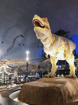 福井県立恐竜博物館に投稿された画像（2024/10/13）