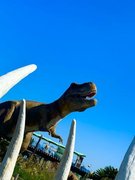 伊豆ぐらんぱる公園に投稿された画像（2024/10/13）