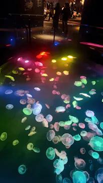 すみだ水族館に投稿された画像（2024/10/13）