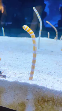 すみだ水族館に投稿された画像（2024/10/13）