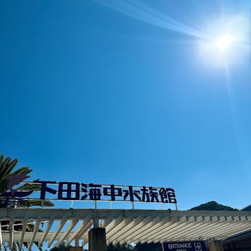 下田海中水族館に投稿された画像（2024/10/13）