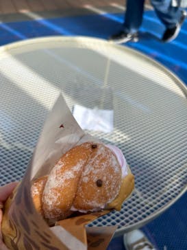 京都水族館×ニデック京都タワーに投稿された画像（2024/10/13）