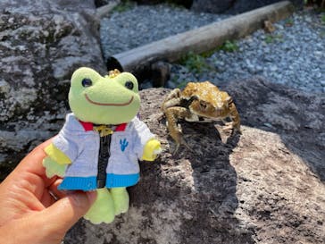 体感型カエル館KawaZooに投稿された画像（2024/10/13）