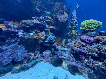 サンシャイン水族館に投稿された画像（2024/10/13）