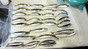 第三新生合同丸に投稿された画像（2024/10/13）